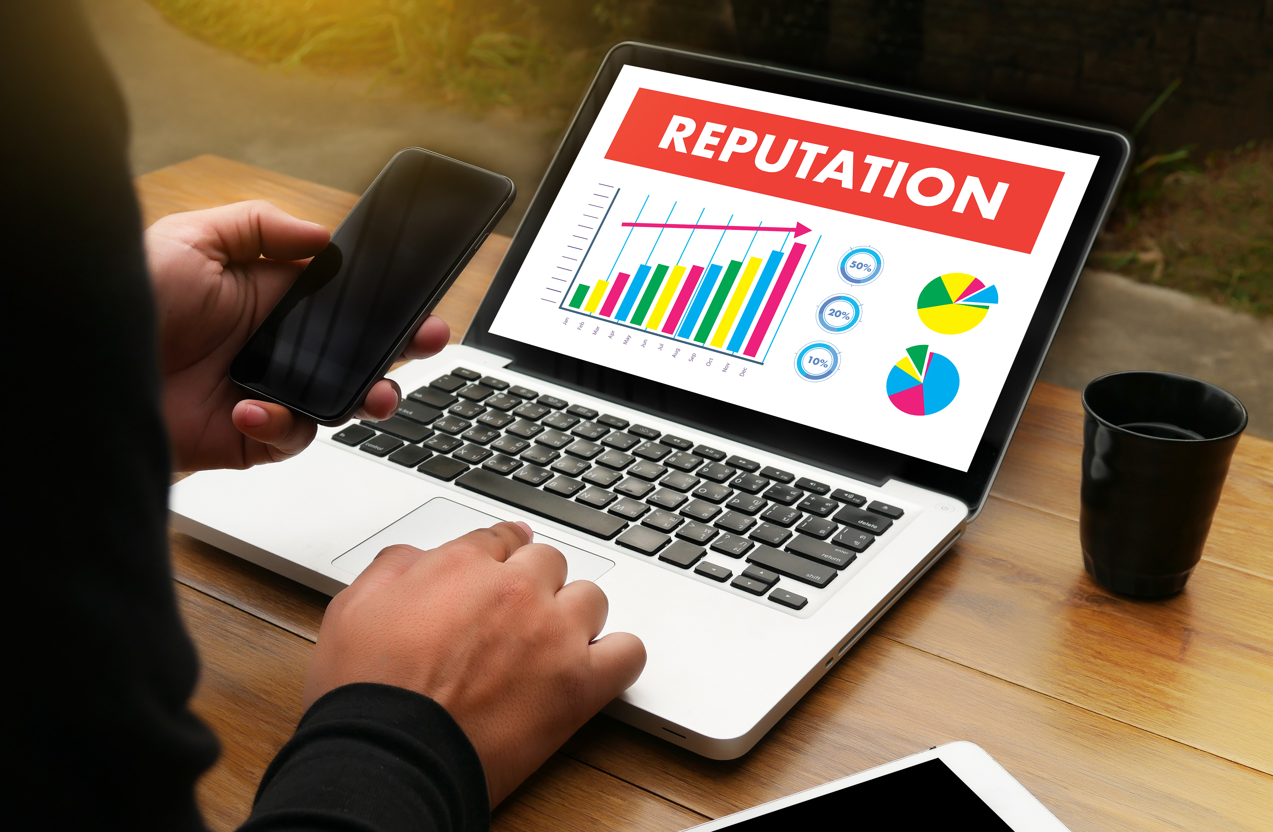 Person using laptop depicting charts and the word reputation on the screen